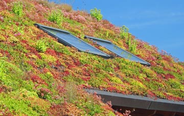 Great Salkeld living roof systems